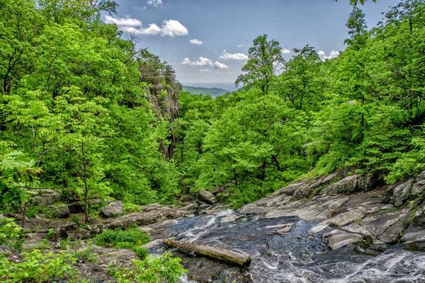 ΢��ҕ�l̖(h��o)���\(y��n)�I(y��ng)����